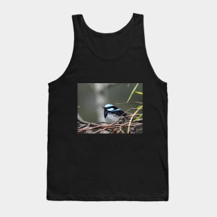 Superb Fairy Wren at the Laratinga Wetlands Tank Top